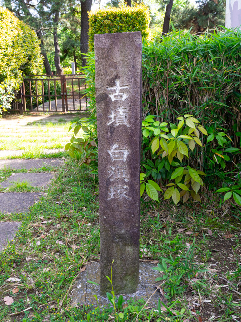 画像を別ウィンドウで表示します 画像