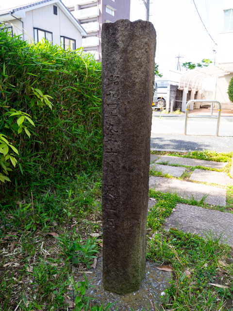 画像を別ウィンドウで表示します 画像