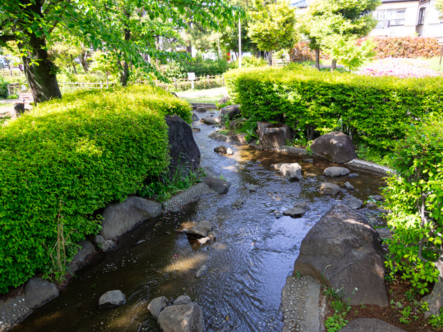 画像を別ウィンドウで表示します 画像