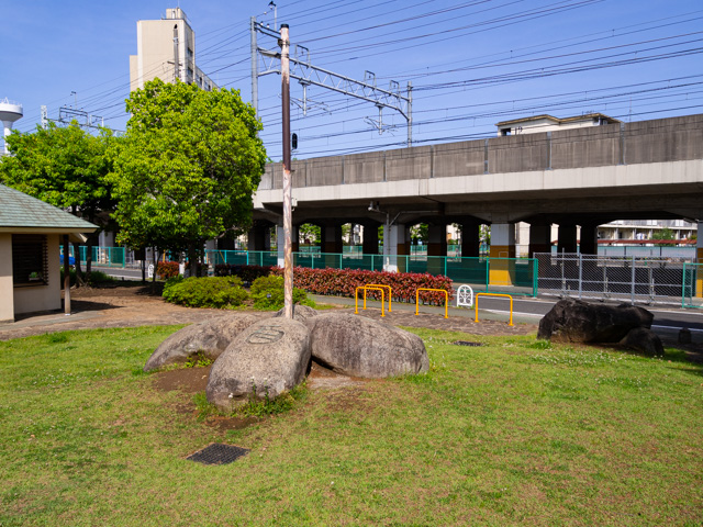 画像を別ウィンドウで表示します 画像
