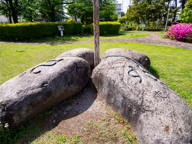 画像を別ウィンドウで表示します 画像