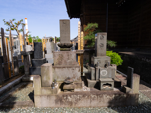 画像を別ウィンドウで表示します 画像
