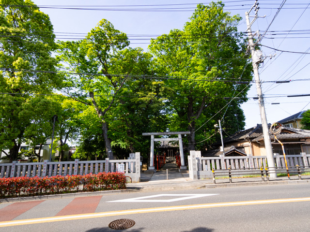 画像を別ウィンドウで表示します 画像