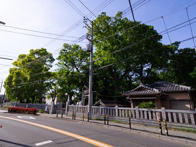 画像を別ウィンドウで表示します 画像