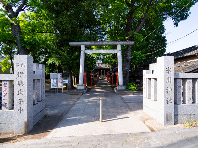 画像を別ウィンドウで表示します 画像