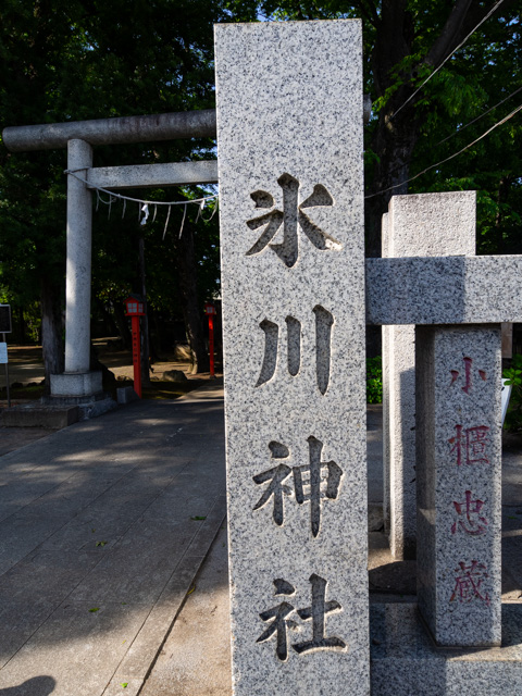 画像を別ウィンドウで表示します 画像
