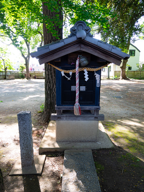 画像を別ウィンドウで表示します 画像