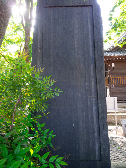 画像を別ウィンドウで表示します 画像