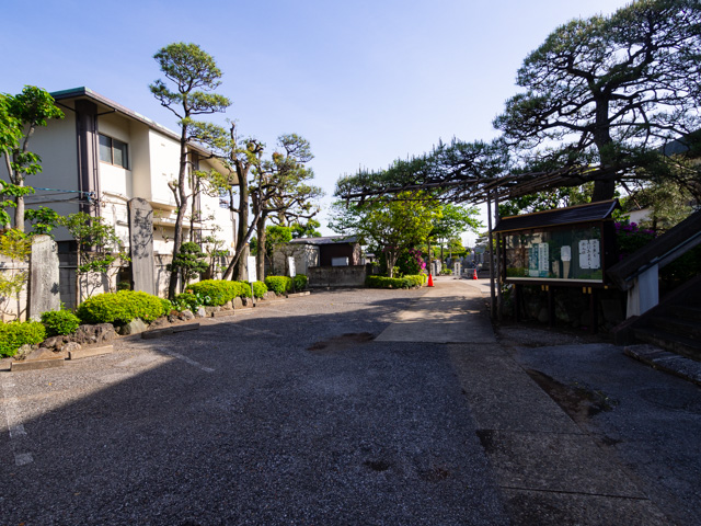 画像を別ウィンドウで表示します 画像