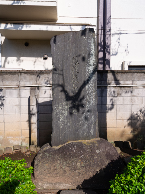 画像を別ウィンドウで表示します 画像