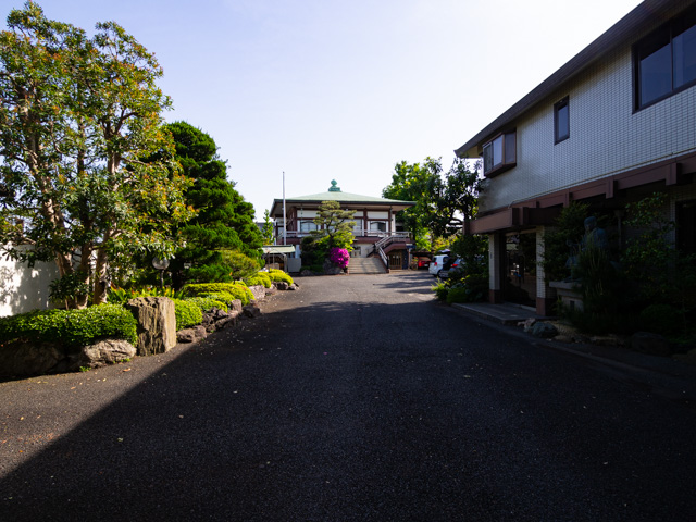画像を別ウィンドウで表示します 画像
