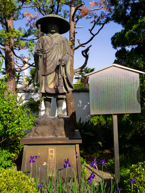 画像を別ウィンドウで表示します 画像