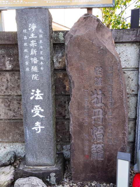 画像を別ウィンドウで表示します 画像