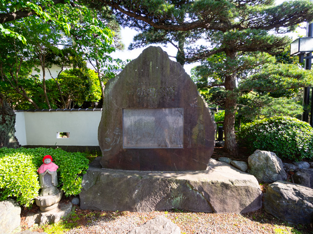 画像を別ウィンドウで表示します 画像