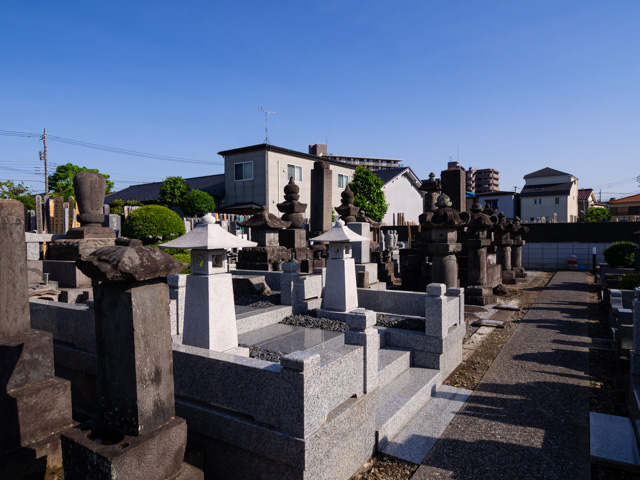 画像を別ウィンドウで表示します 画像