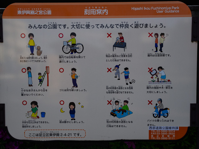 画像を別ウィンドウで表示します 画像