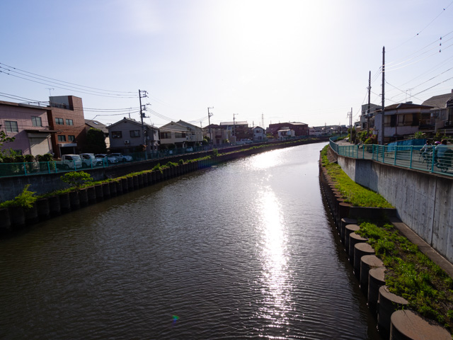 画像を別ウィンドウで表示します 画像