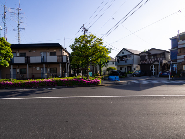 画像を別ウィンドウで表示します 画像