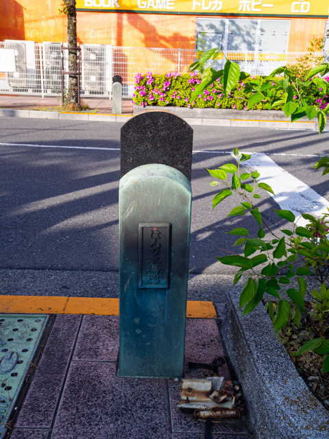 画像を別ウィンドウで表示します 画像
