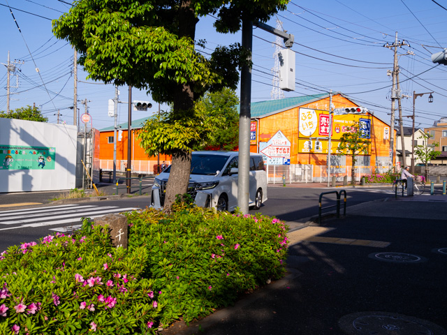 画像を別ウィンドウで表示します 画像