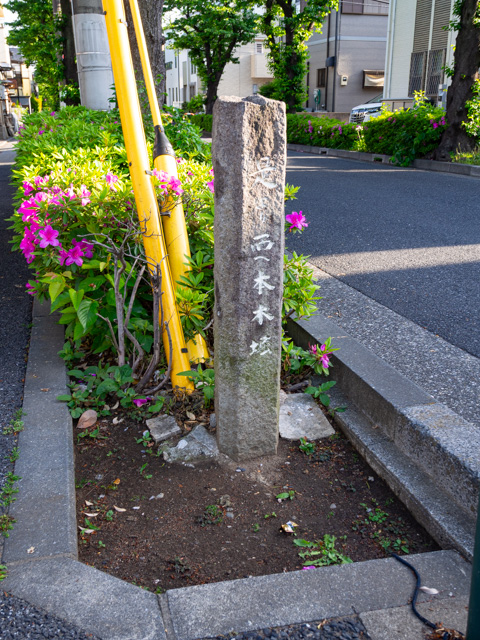 画像を別ウィンドウで表示します 画像