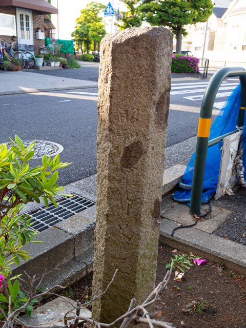 画像を別ウィンドウで表示します 画像