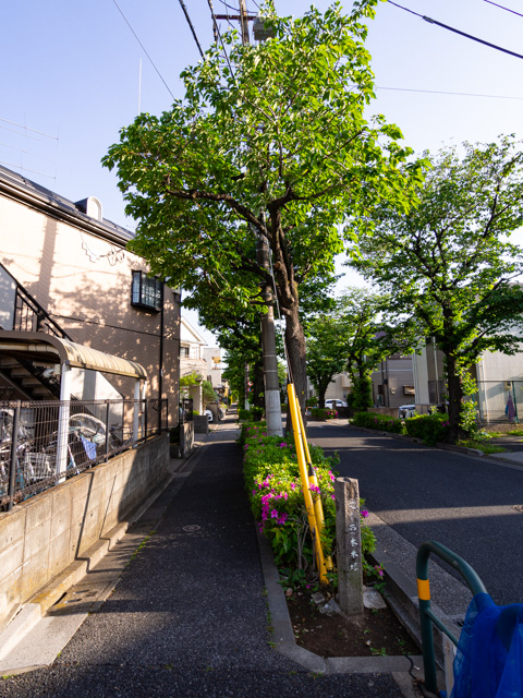 画像を別ウィンドウで表示します 画像