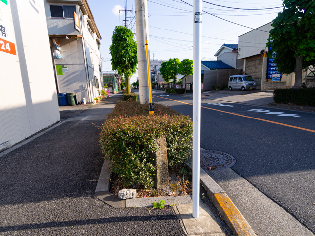 画像を別ウィンドウで表示します 画像