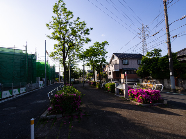 画像を別ウィンドウで表示します 画像
