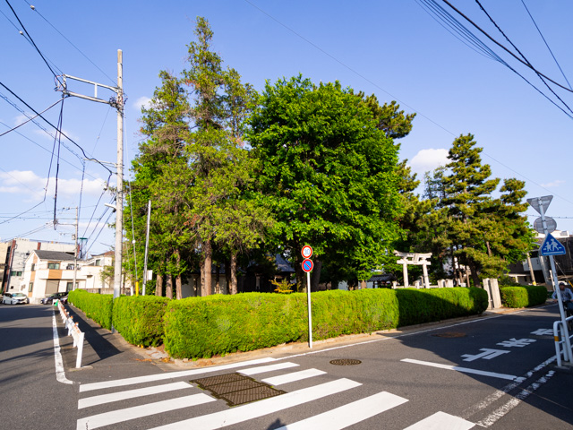 画像を別ウィンドウで表示します 画像