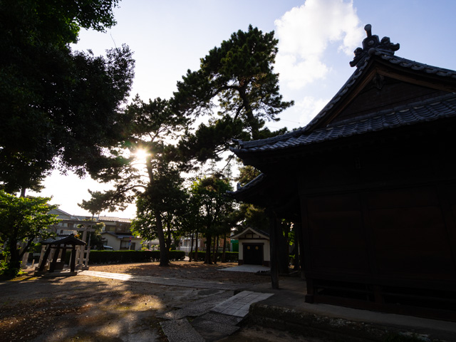 画像を別ウィンドウで表示します 画像