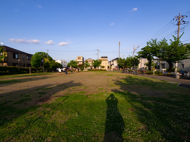 画像を別ウィンドウで表示します 画像