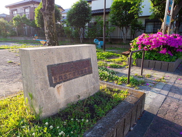 画像を別ウィンドウで表示します 画像