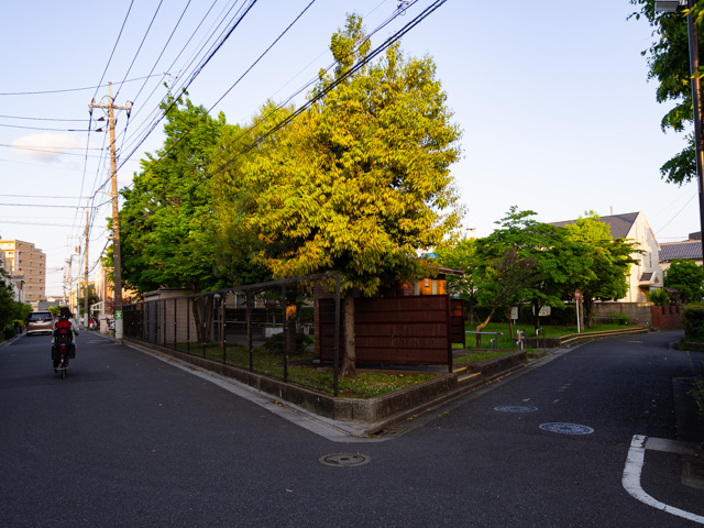 画像を別ウィンドウで表示します 画像