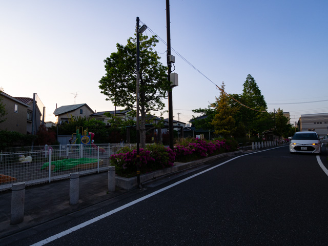 画像を別ウィンドウで表示します 画像