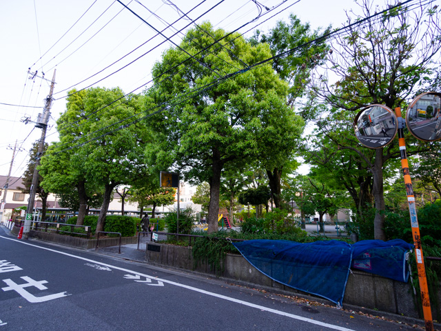 画像を別ウィンドウで表示します 画像
