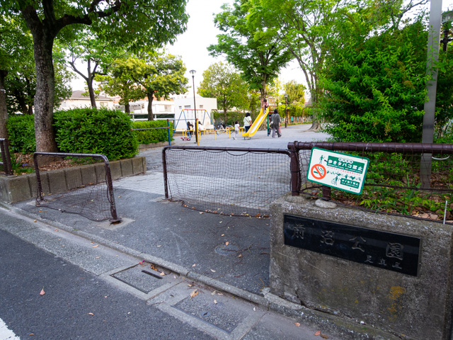 画像を別ウィンドウで表示します 画像