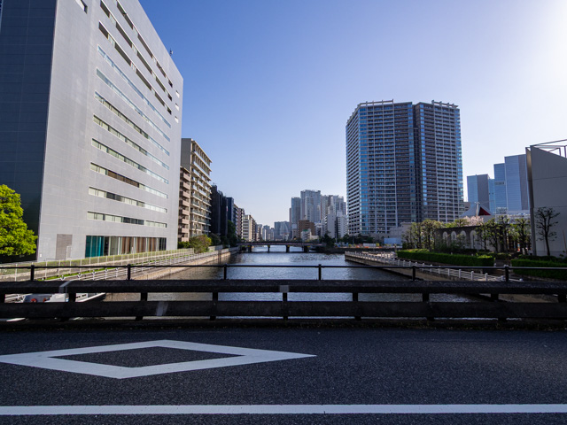 画像を別ウィンドウで表示します 画像