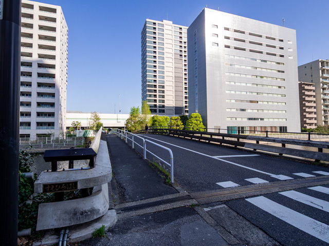 画像を別ウィンドウで表示します 画像