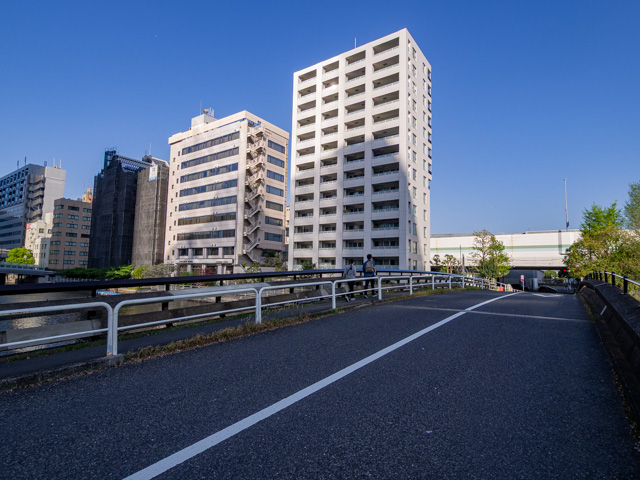 画像を別ウィンドウで表示します 画像