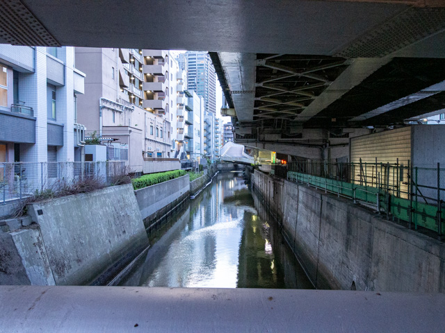 画像を別ウィンドウで表示します 画像