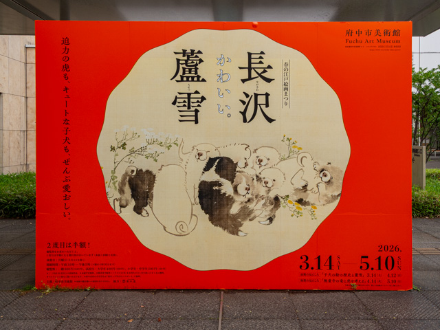 画像を別ウィンドウで表示します 画像