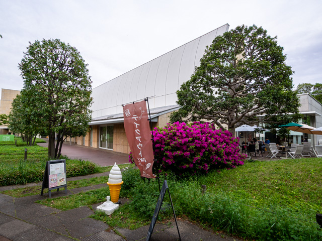 画像を別ウィンドウで表示します 画像