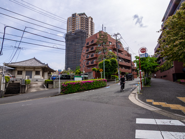画像を別ウィンドウで表示します 画像