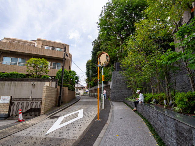 画像を別ウィンドウで表示します 画像