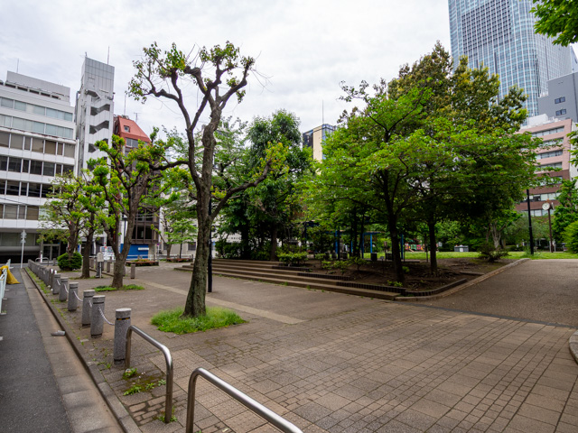 画像を別ウィンドウで表示します 画像