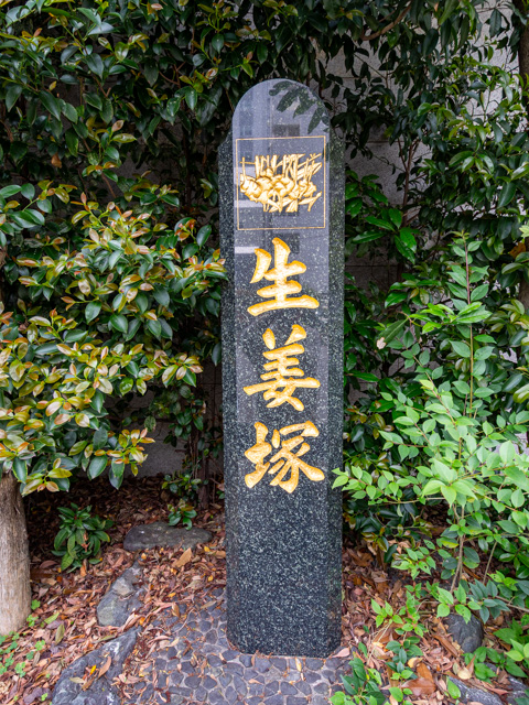 画像を別ウィンドウで表示します 画像