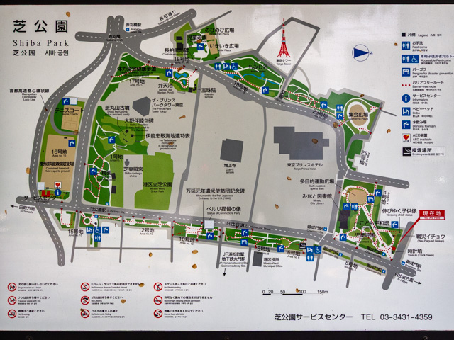 画像を別ウィンドウで表示します 画像