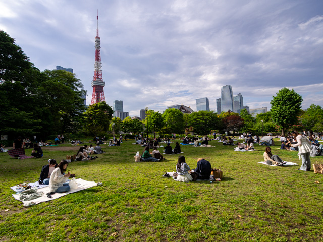 画像を別ウィンドウで表示します 画像