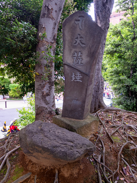 画像を別ウィンドウで表示します 画像